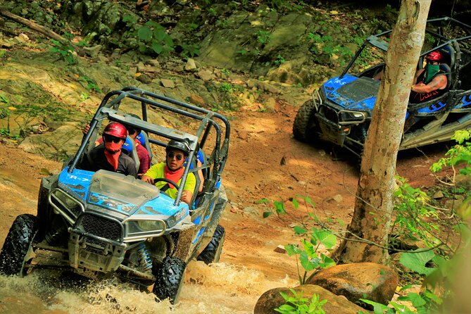 Unique Experience on ATVs or Razer through the Jungle! - Stop at Isla Cuale: what makes it special on this kind of ride