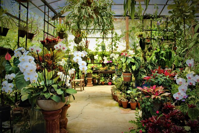 Vallarta Botanical Garden and Tequila Tasting from Puerto Vallarta - Jardin Botanico de Vallarta: Birds, Trails, and Why It Feels Different