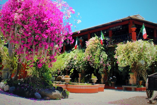 Vallarta Botanical Garden and Tequila Tasting from Puerto Vallarta - What You’ll Actually Do With 6 Hours