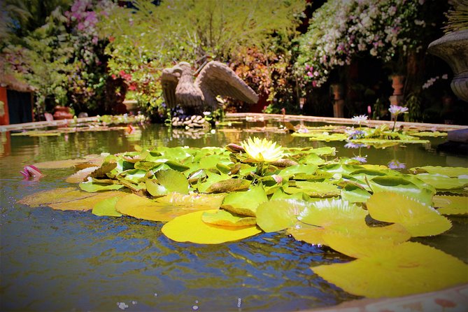 Vallarta Botanical Garden and Tequila Tasting from Puerto Vallarta - Value Check: Is $85 a Good Deal?