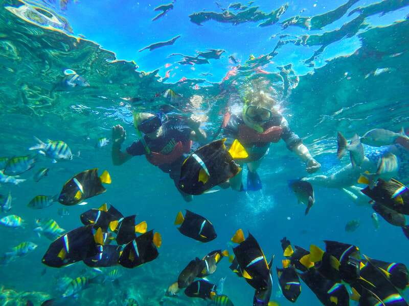Vallarta: Yelapa Waterfall & Majahuitas Snorkel Adventure - Key Points Worth Your Attention