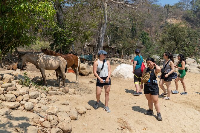 Waterfall in the jungle of Puerto Vallarta - Guides You’ll Actually Talk With: Isaac, Anthony, Carlos, and Rocco