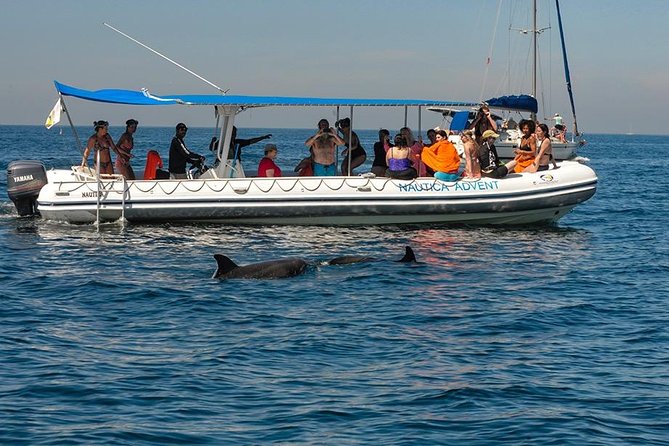 Whale and Dolphin Watching with a Biologist in Puerto Vallarta - Why this Puerto Vallarta whale trip feels different