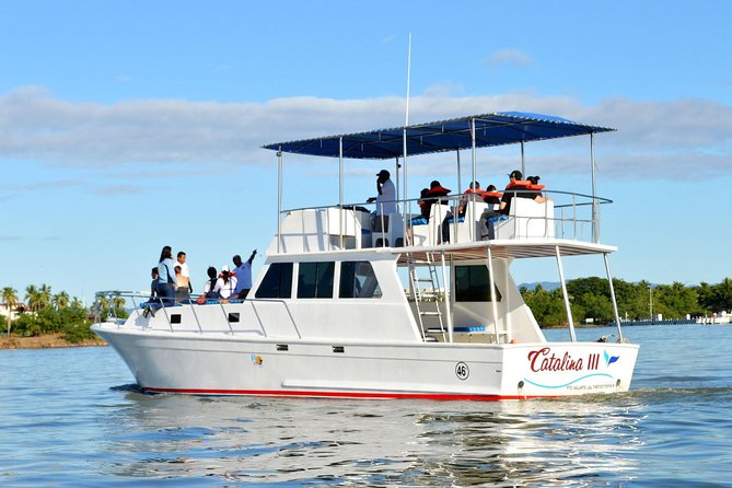 Whale & Dolphin Watching Cruise in Puerto Vallarta All Inclusive - Seasickness, Rough Water, and What to Do Before You Regret It