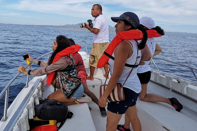 Whale Encounter Puerto Vallarta - Whale Encounter Puerto Vallarta: What You’re Really Paying For