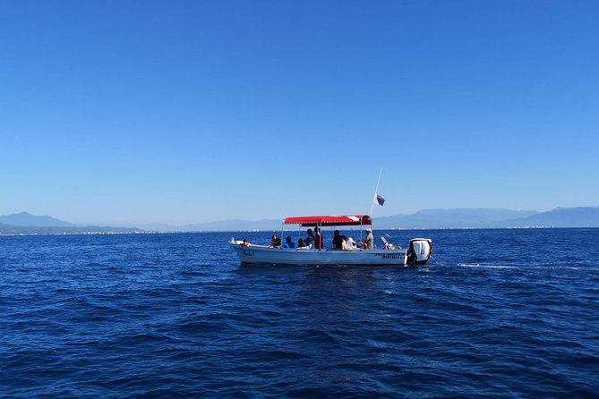 Whale Encounter Puerto Vallarta - Whale Safety and Responsible Viewing Feel