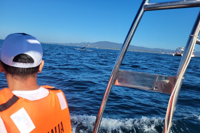 Whale watching 3 hours in Puerto Vallarta - English on board: how to handle a Spanish-first captain