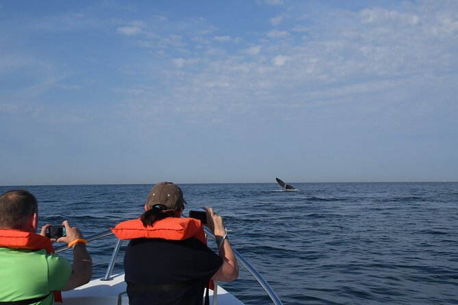 Whale Watching Adventure – Led by a Marine Biologist - Comfort and onboard basics that you’ll actually care about