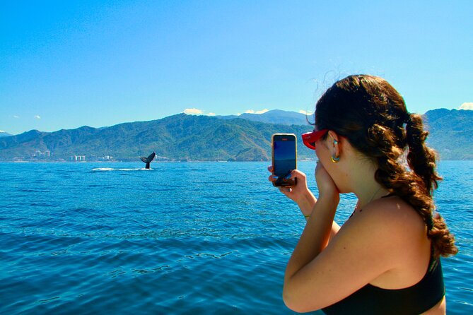 Whale Watching and Los Arcos 5 Islands Adventure - Playa Mismaloya Check-In: right on the beach, then you’re off