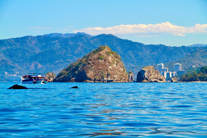 Whale Watching and Los Arcos 5 Islands Adventure - Los Arcos de Mismaloya: granite arches, caves, and snorkeling like a natural aquarium