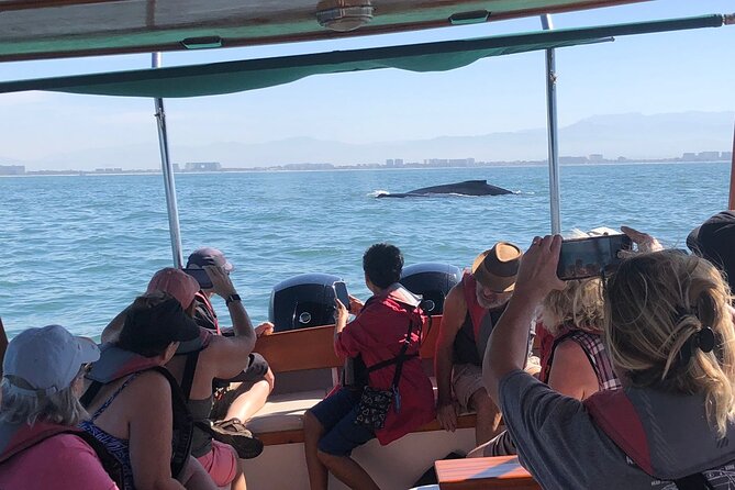 Whale Watching Experience – 4 Hours in Puerto Vallarta - Onboard Hydrophone Listening: Whale Sounds You Can Actually Hear