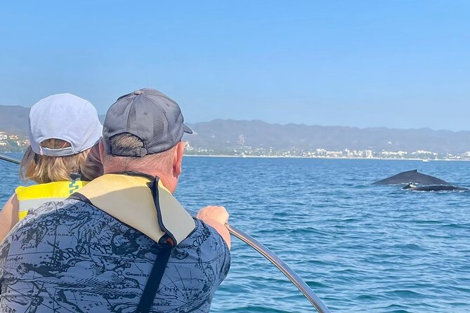 Whale Watching Experience in Puerto Vallarta - Bay of Banderas: what you’re actually doing for 4 hours