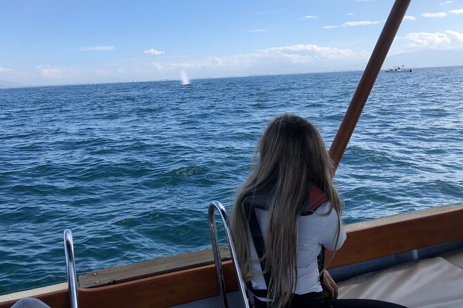Whale Watching Experience in Puerto Vallarta - Value check: is $148.66 worth it?