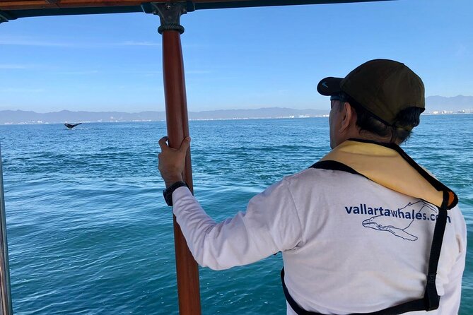 Whale Watching Experience in Puerto Vallarta - Licensed bilingual guides (including Isa/Isabel) and the difference they make
