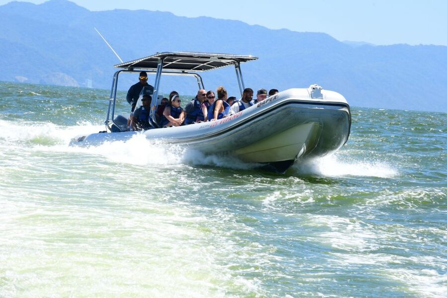 Whale Watching Guaranteed Experience in Puerto Vallarta - Whale Watching in Puerto Vallarta: The Point of This 3-Hour Run