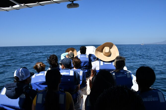 Whale Watching Guaranteed Experience in Puerto Vallarta - The High-Speed Boat Advantage: Sightlines and Short Distances