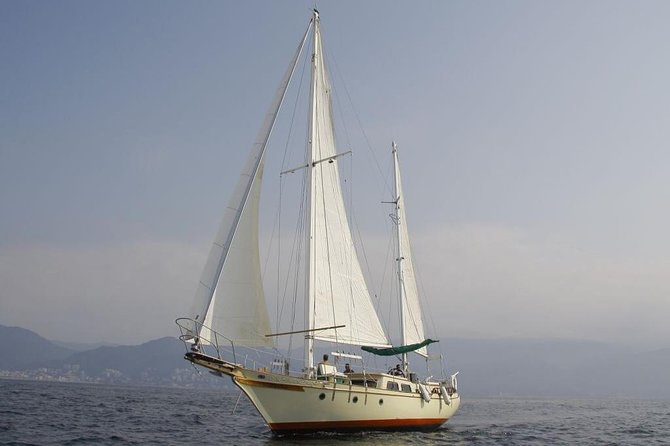 Whale Watching The Best Of Puerto Vallarta - The Small-Group Advantage (Up Close Viewing)