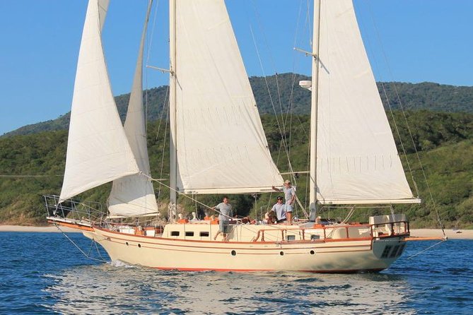 Whale Watching The Best Of Puerto Vallarta - Weather and Sailing: The One Variable You Can’t Control
