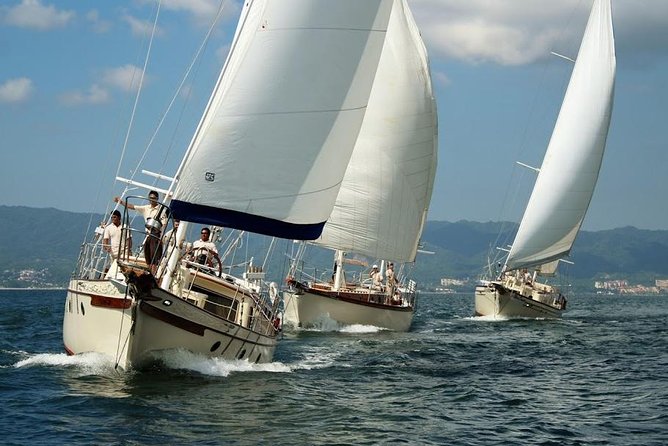 Whale Watching The Best Of Puerto Vallarta - Booking Timing: Why You Should Act Fast