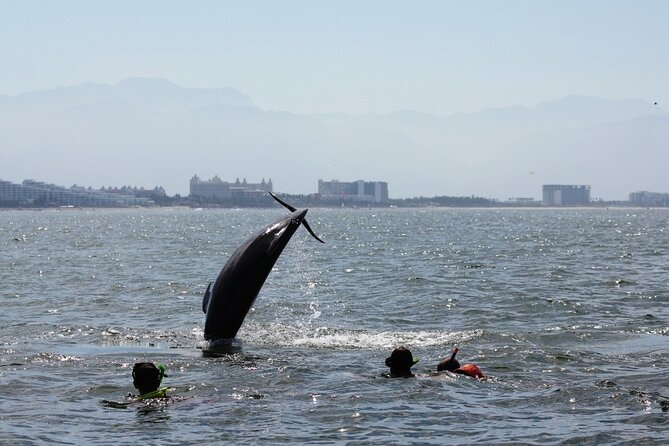 Wild Dolphin Encounter & Snorkeling Adventure - Los Arcos de Mismaloya snorkeling: what that 1 hour really feels like