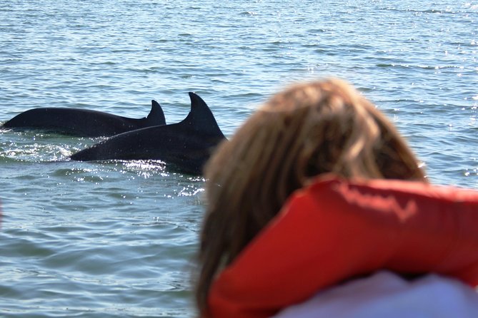 Wild Dolphin Encounter & Snorkeling Adventure - Who should book this Puerto Vallarta dolphin and snorkel tour