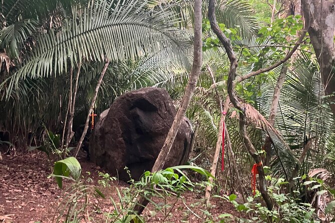 Wixárika Indigenous Blessing: Sacred Walk in the Jungle - How the Traditional Blessing Fits Into the Walk