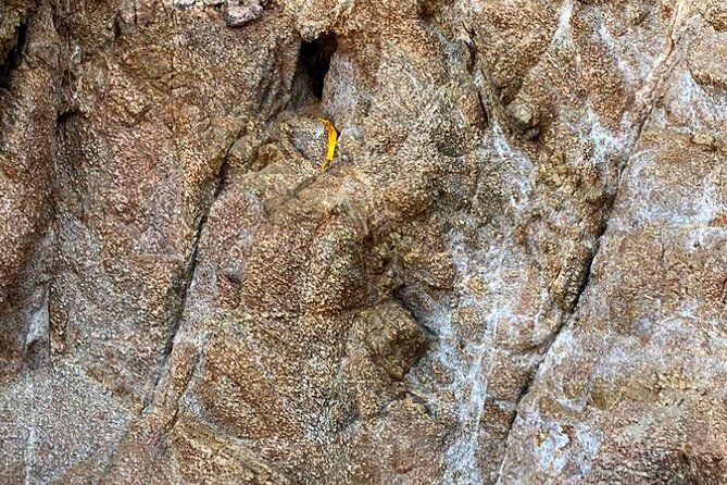 Wixárika Indigenous Blessing: Sacred Walk in the Jungle - Terrain Tips: Shoes, Steep Bits, and Weather