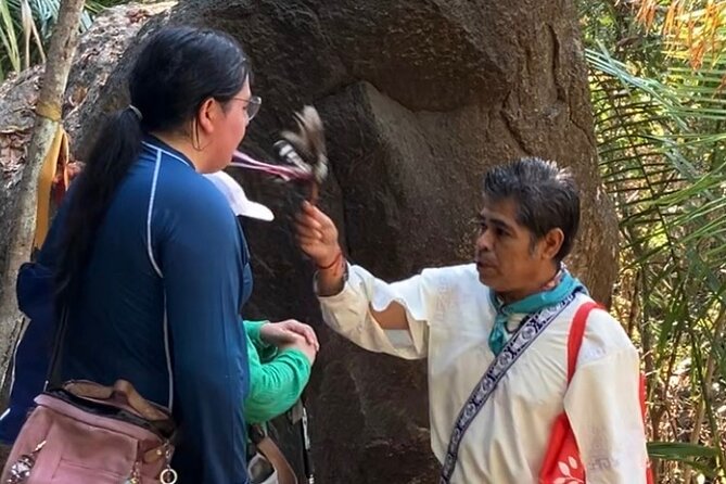 Wixárika Indigenous Blessing: Sacred Walk in the Jungle - Price and Value: What $47.82 Buys You Here