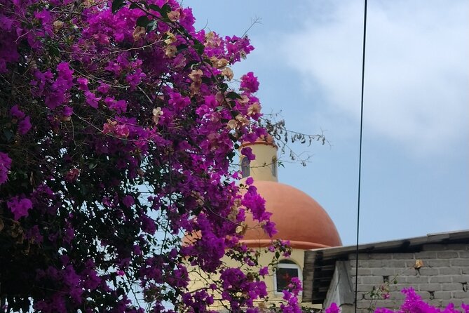 Yelapa escape - Morning Start in Zona Romántica: Meet Your Guide, Then Go Local