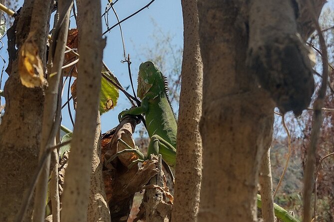 Yelapa escape - Crossing to the Beach and Planning Lunch You’ll Actually Enjoy