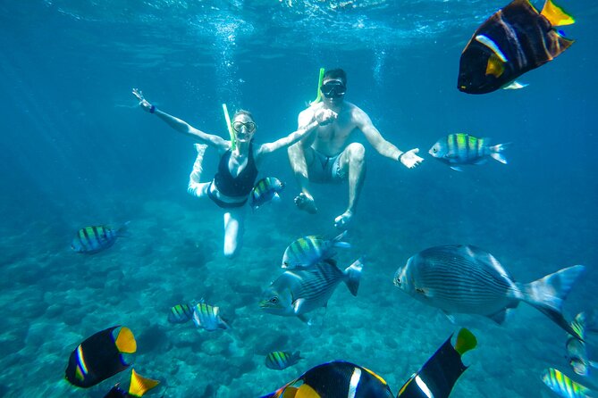 Yelapa Waterfall, BBQ at Exclusive Majahuitas Beach & Open bar - Weather and Sea Conditions: How the Tour Can Change